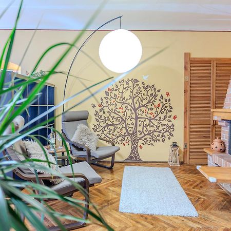 Apartamento Tree House-Old Town Braşov Exterior foto
