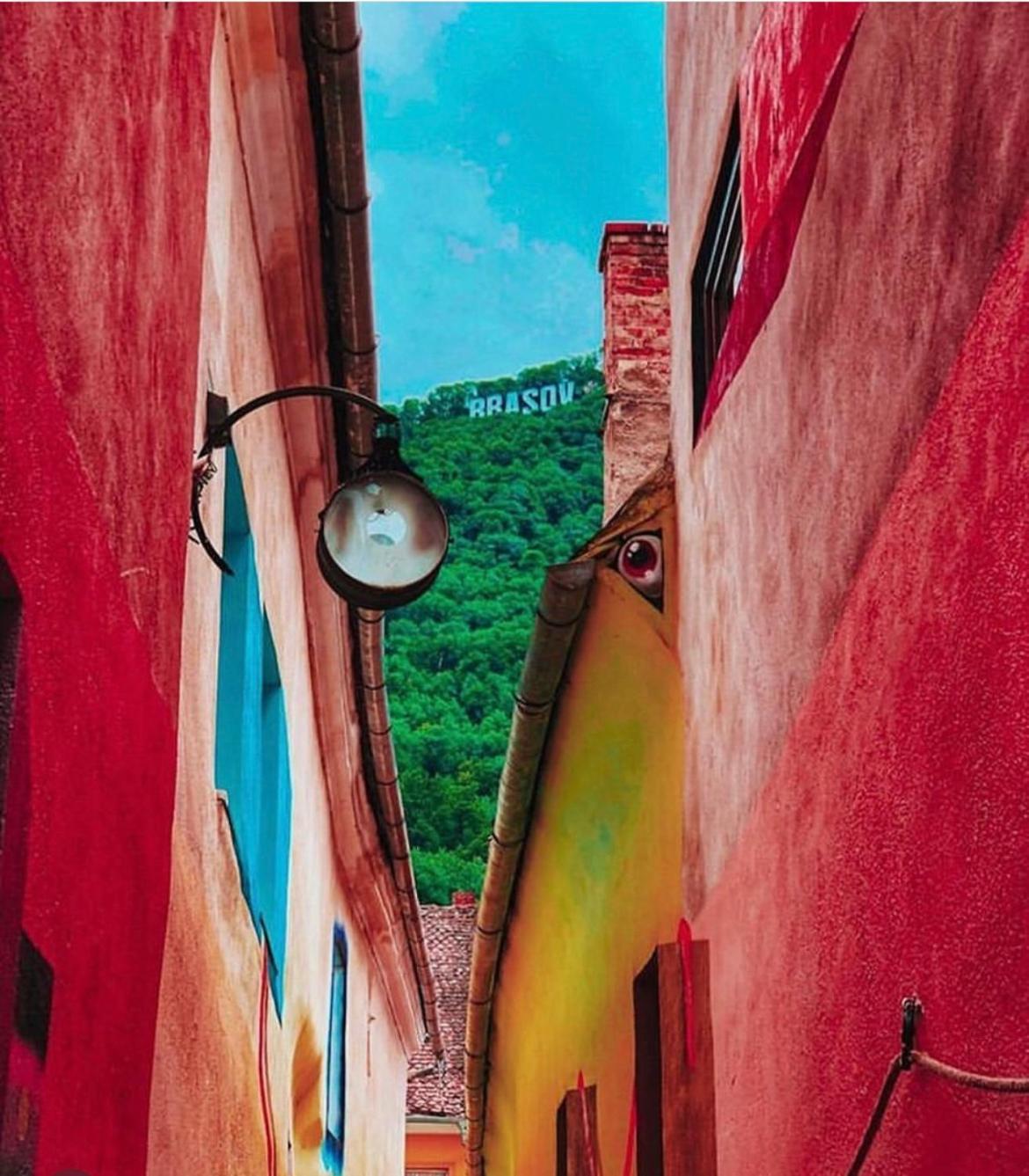 Apartamento Tree House-Old Town Braşov Exterior foto